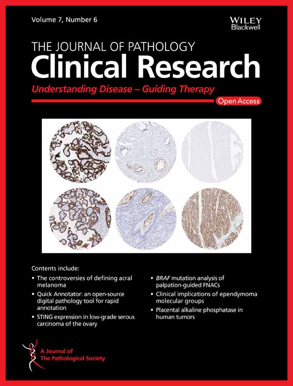 Automated annotations of epithelial cells and stroma in hematoxylin–eosin‐stained whole‐slide images using cytokeratin re‐staining