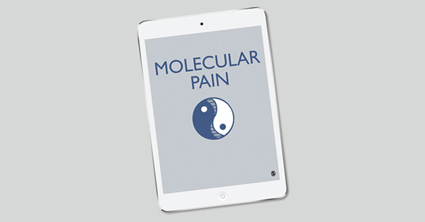 Selective inhibition of adenylyl cyclase subtype 1 reduces inflammatory pain in chicken of gouty arthritis