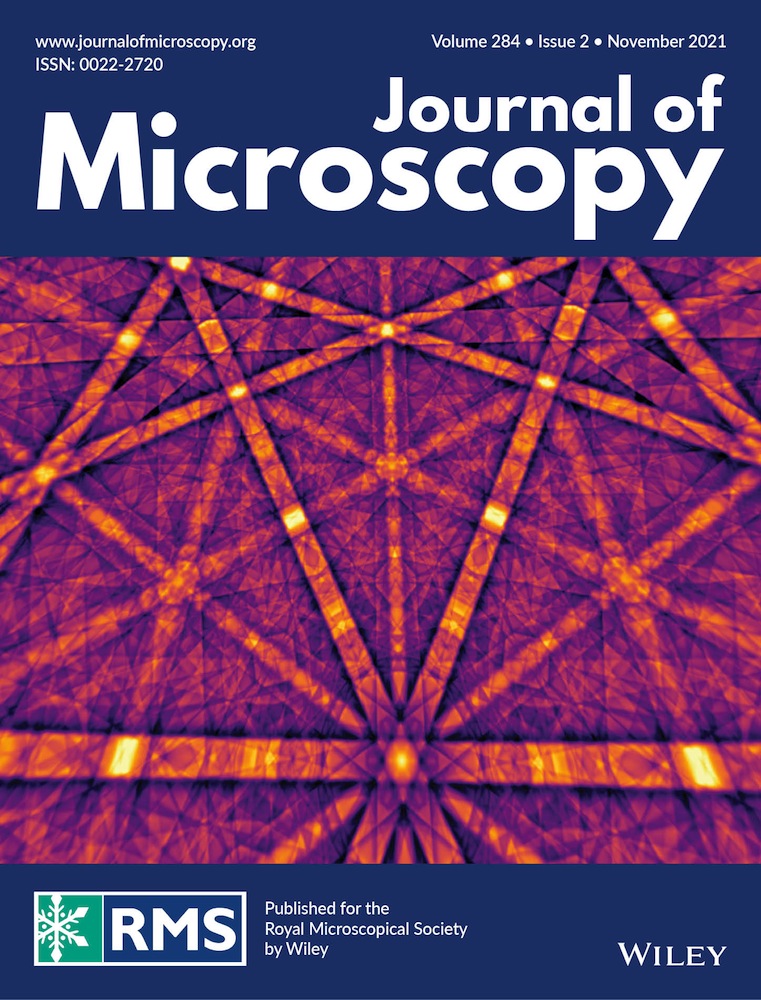 First visualisation of bacterial biofilms in 3D porous media with neutron microtomography without contrast agent
