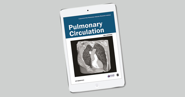 A computational model of contributors to pulmonary hypertensive disease: impacts of whole lung and focal disease distributions