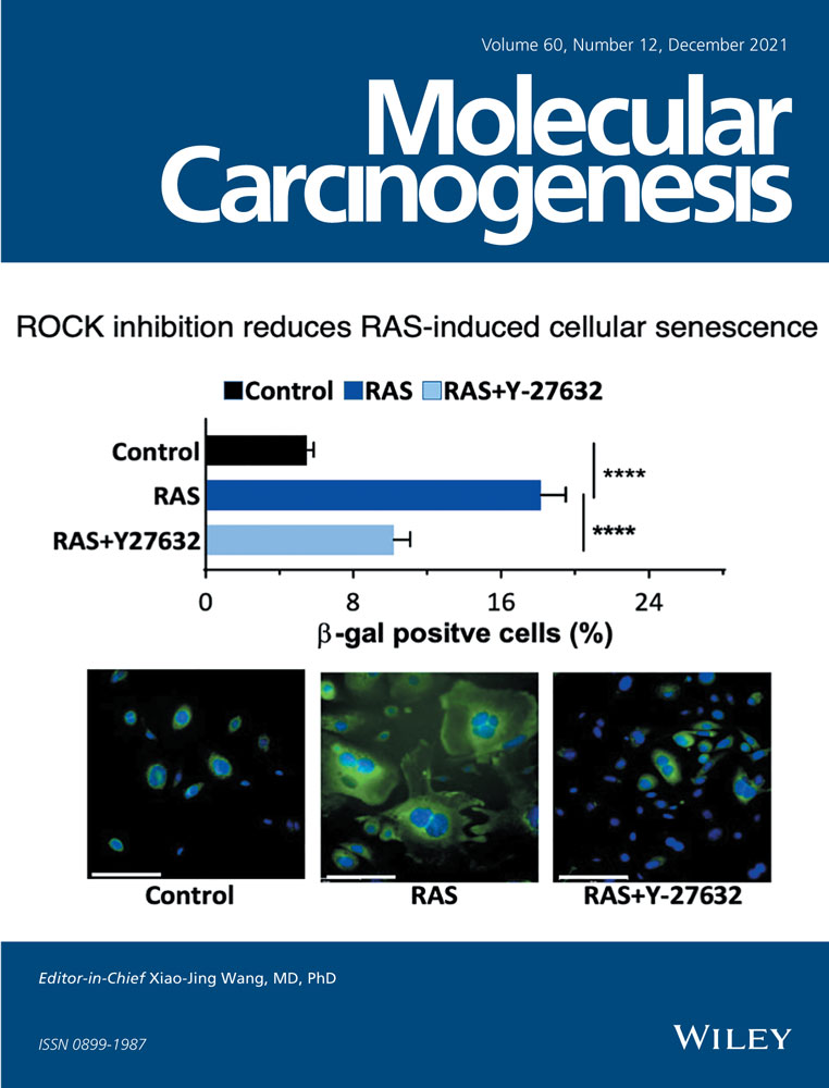 Setting up clinical trials for success: Applying preclinical advances in combined TGFβ/PD‐L1 inhibition to ongoing clinical studies
