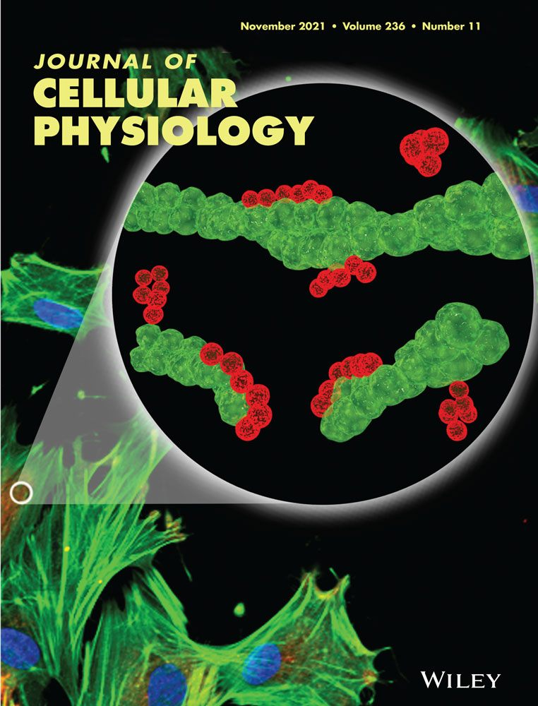 Melatonin attenuates reactive astrogliosis and glial scar formation following cerebral ischemia and reperfusion injury mediated by GSK‐3β and RIP1K