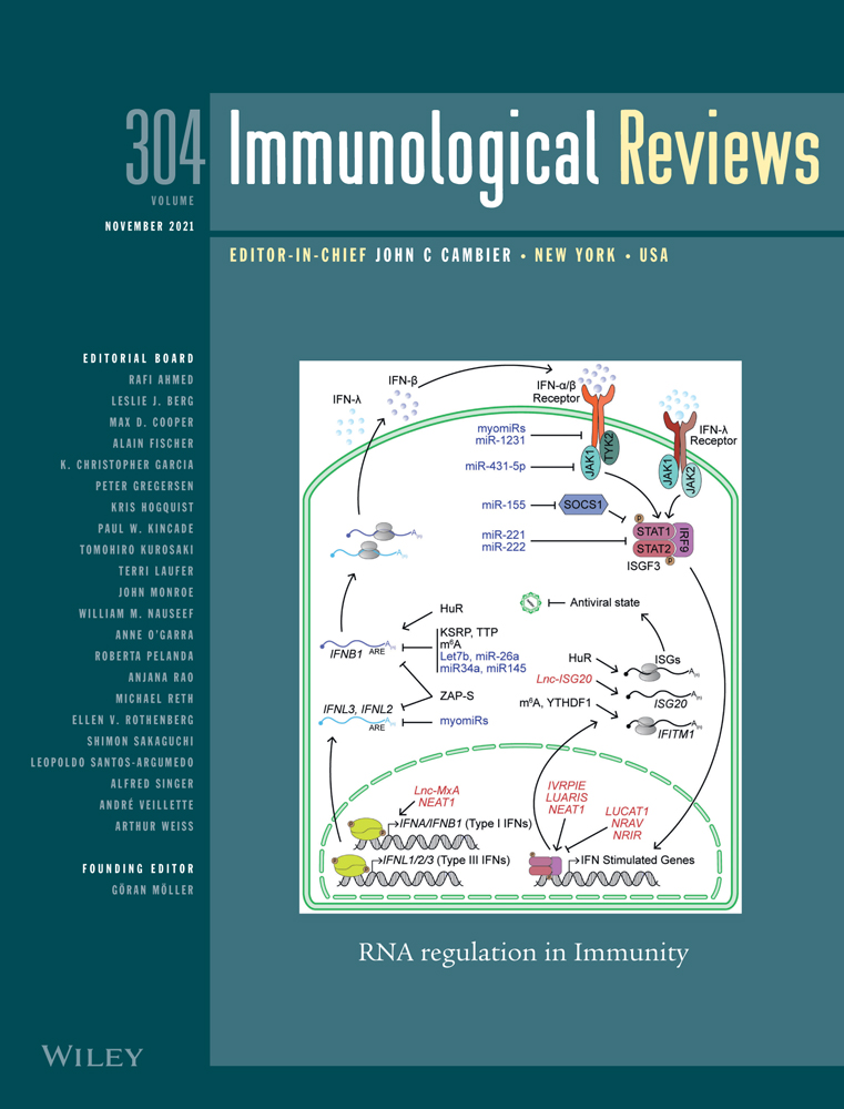 Imaging innate immunity*