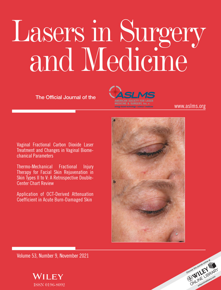 Stone ablation rates using innovative pulse modulation technology: Vapor tunnel, virtual basket, and bubble blast. An in vitro experimental study
