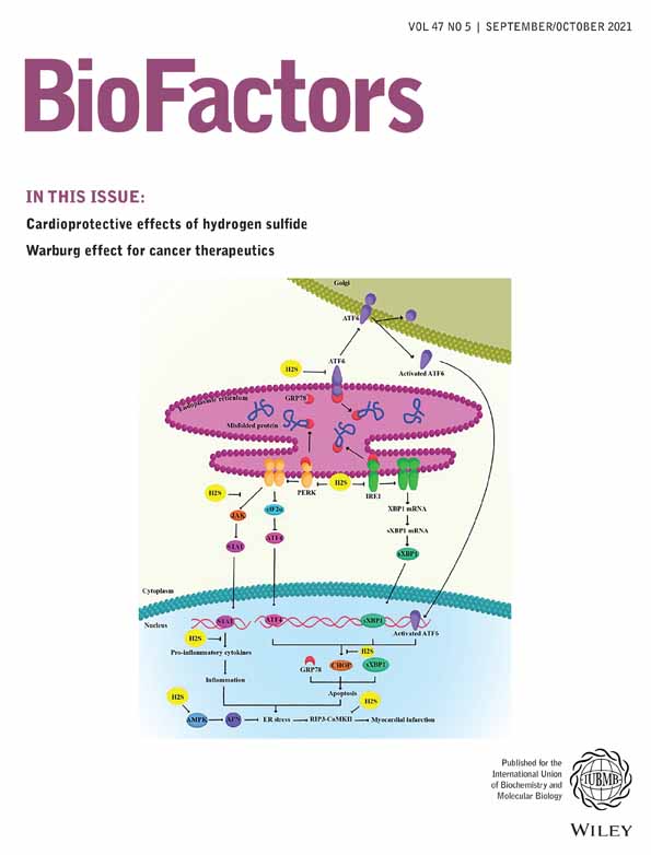 Silencing of KIF18B restricts proliferation and invasion and enhances the chemosensitivity of breast cancer via modulating Akt/GSK‐3β/β‐catenin pathway