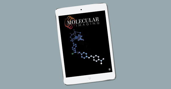 Magnetofluorescent Nanoprobe for Multimodal and Multicolor Bioimaging