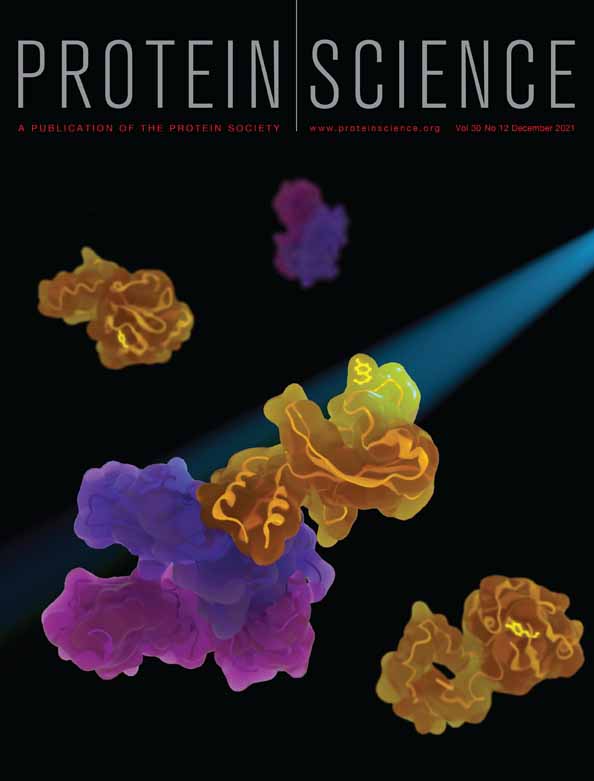 A newly introduced salt bridge cluster improves structural and biophysical properties of de novo TIM barrels