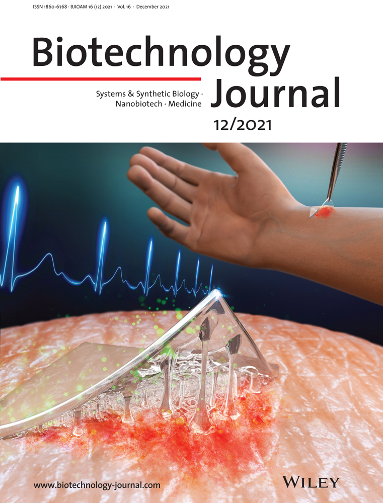 Improvement of acetyl‐CoA supply and glucose utilization increases l‐leucine production in Corynebacterium glutamicum
