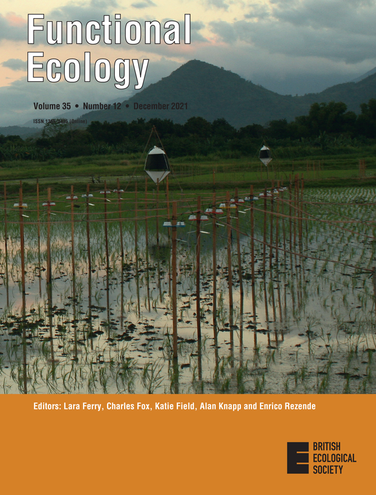 Leaf economics in a three‐dimensional environment: Testing leaf trait responses in vascular epiphytes to land use, climate, and tree zone