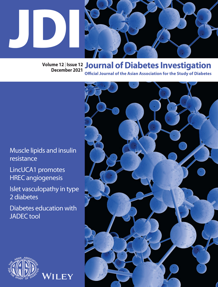 Trained immunity: a key player of “metabolic memory” in diabetes