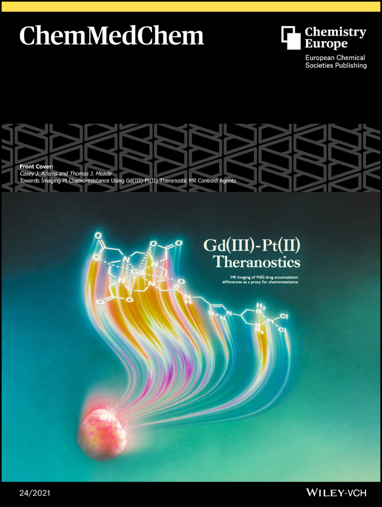 5’‐Phosphorylation Increases the Efficacy of Nucleoside Inhibitors of the DNA Repair Enzyme SNM1A