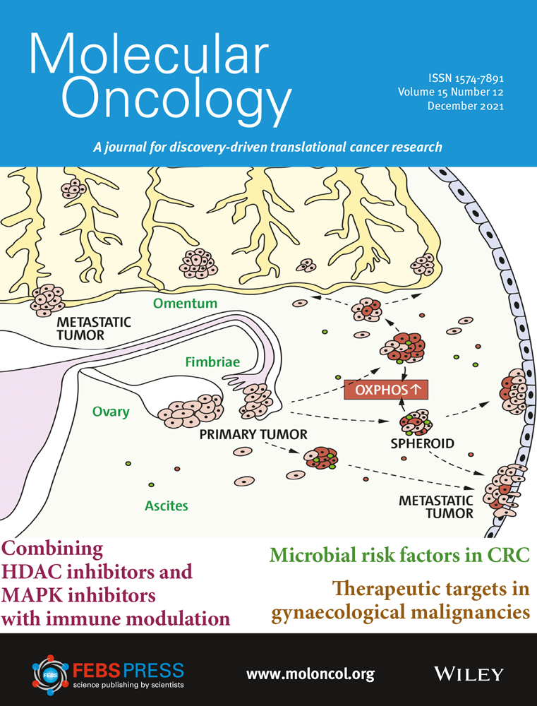 KRAS mutation‐independent downregulation of MAPK/PI3K signaling in colorectal cancer