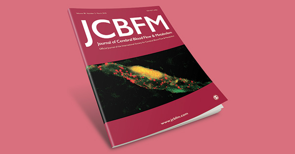 Systematic validation of structural brain networks in cerebral small vessel disease