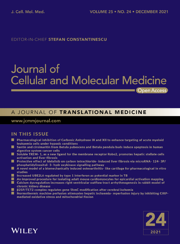 γ‐Secretase modulators show selectivity for γ‐secretase–mediated amyloid precursor protein intramembrane processing