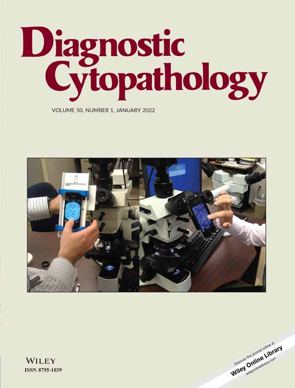 Metastatic mesonephric‐like endometrial adenocarcinoma diagnosed on transbronchial needle aspirate cytology