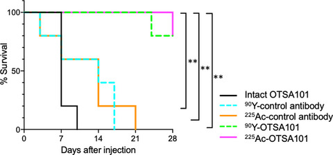 FZD10‐targeted α‐radioimmunotherapy with 225Ac‐labeled OTSA101 achieves complete remission in a synovial sarcoma model