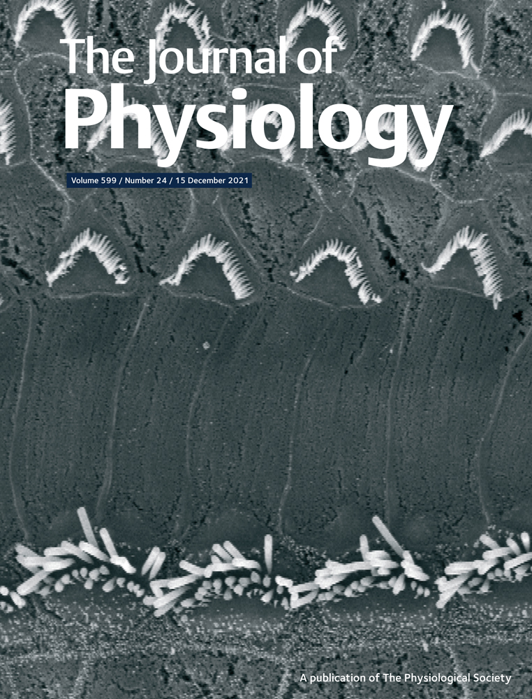 Short term exercise‐induced protection of cardiovascular function and health: Why and how fast does the heart benefit from exercise?