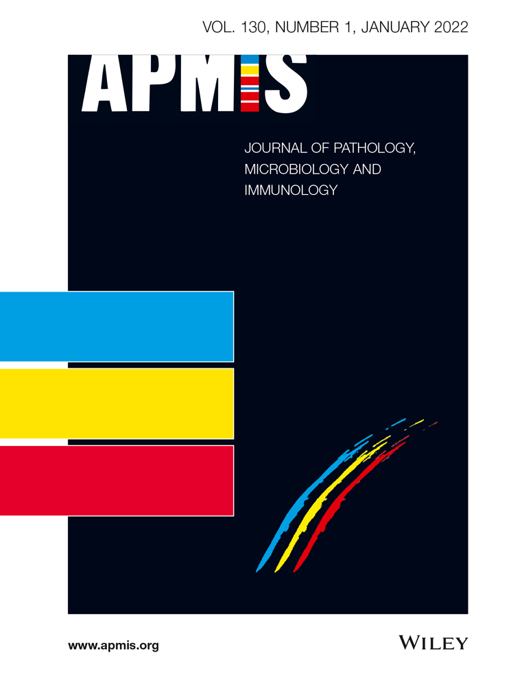 Detection methods targeting the positive‐ and negative‐sense RNA transcripts from plus‐stranded RNA viruses