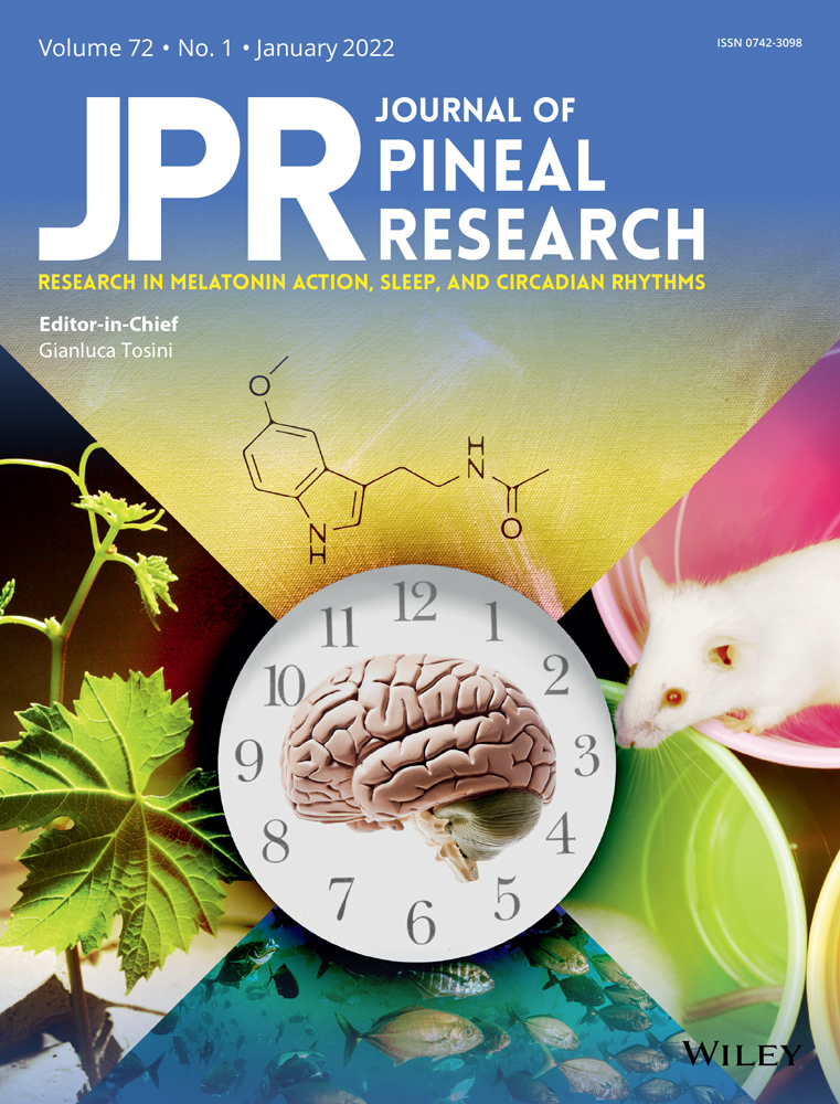 No association between a common type 2 diabetes risk gene variant in the melatonin receptor gene (MTNR1B) and mortality among type 2 diabetes patients