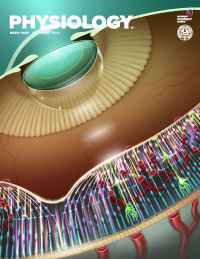 Kidney development - recent insights from technological advances.
