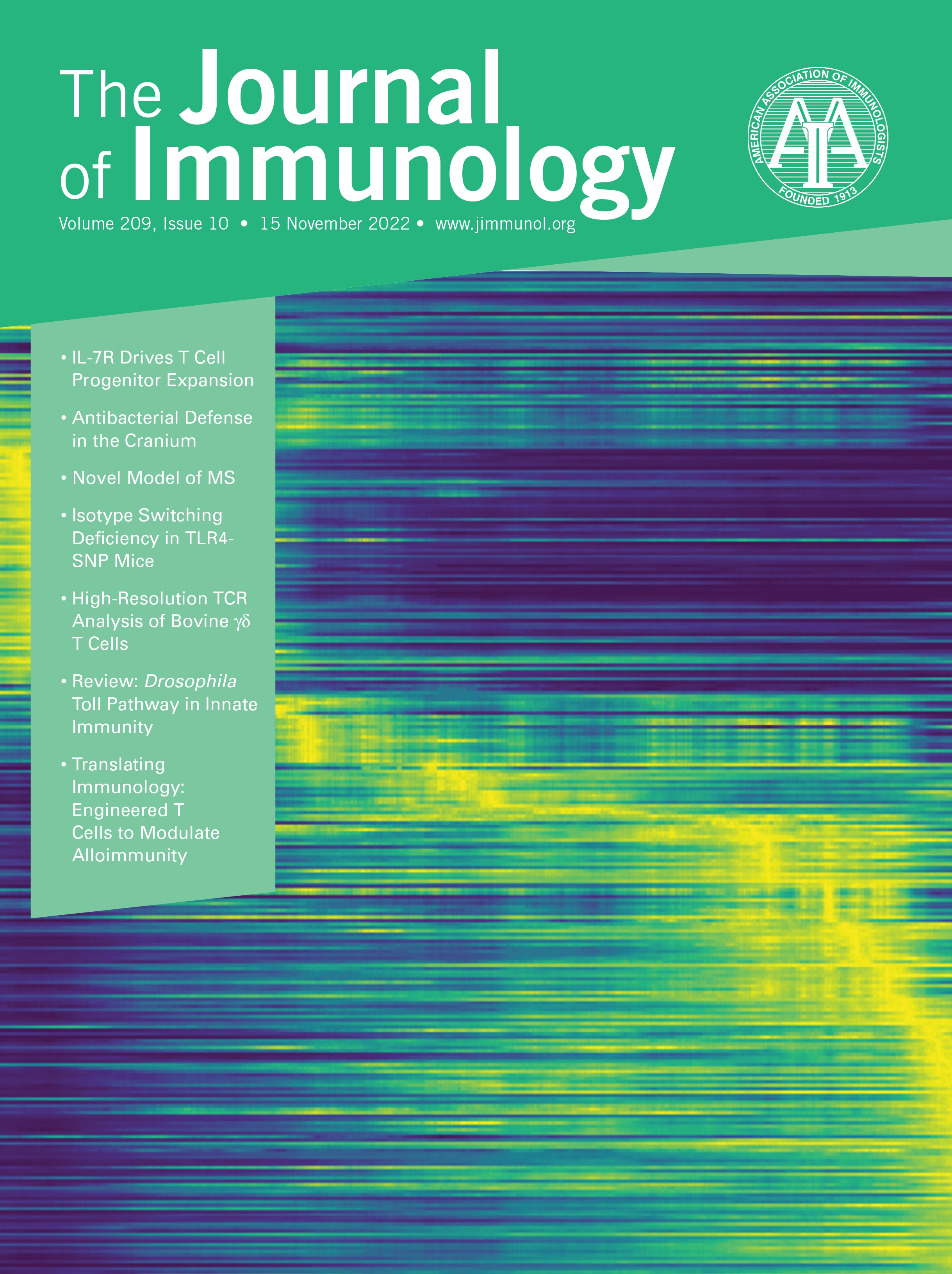 Ring Finger Protein 215 Negatively Regulates Type I IFN Production via Blocking NF-{kappa}B p65 Activation [INNATE IMMUNITY AND INFLAMMATION]