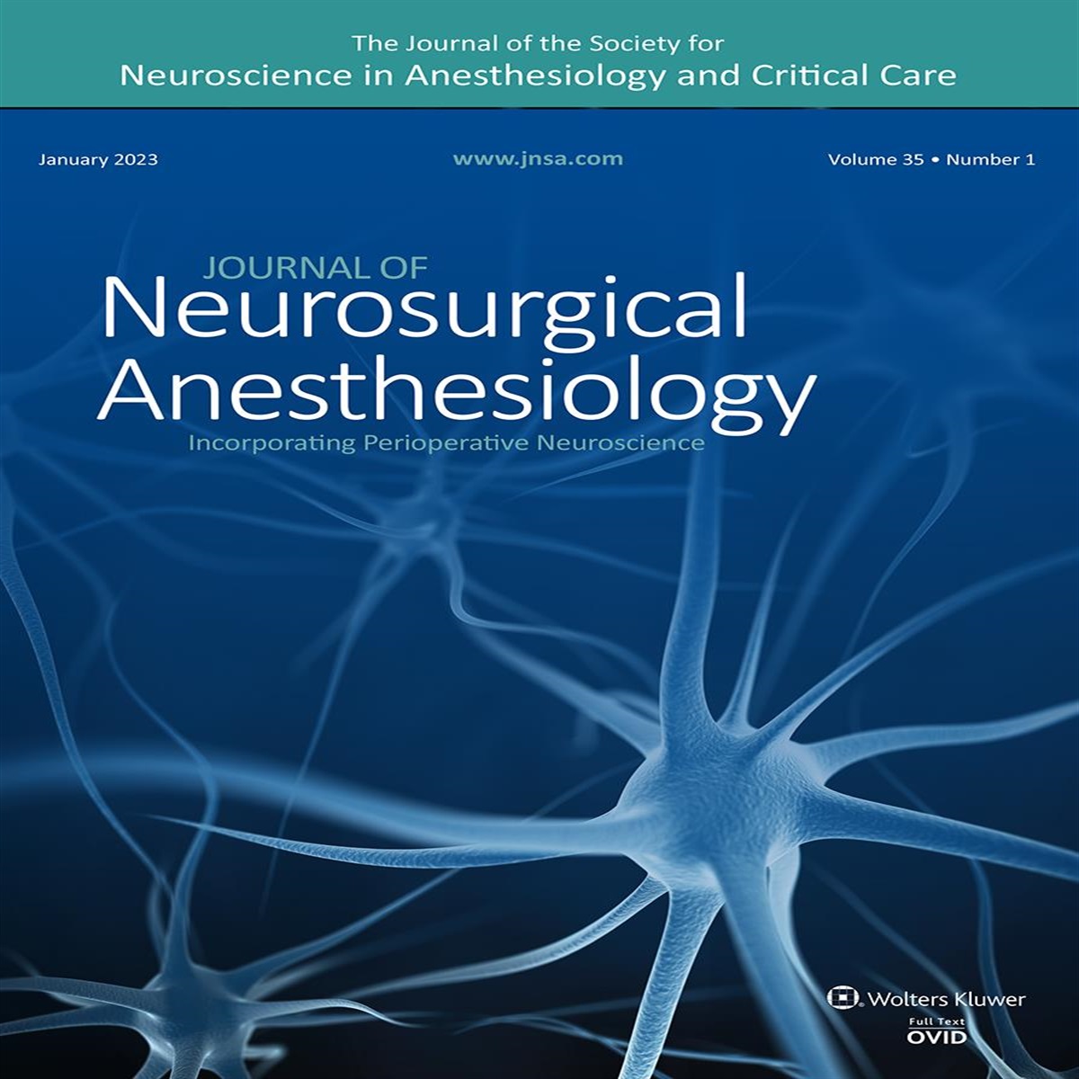 Pediatric Intensive Care Unit Patients: Sedation, Monitoring, and Neurodevelopmental Outcomes