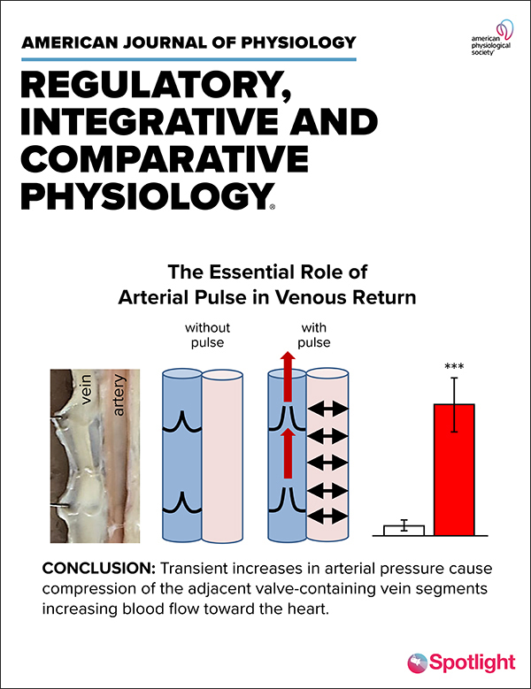 Method to quantify the impact of sleep on cardiac neuroautonomic functionality: application to the prediction of cardiovascular events in the Multi-Ethnic Study of Atherosclerosis