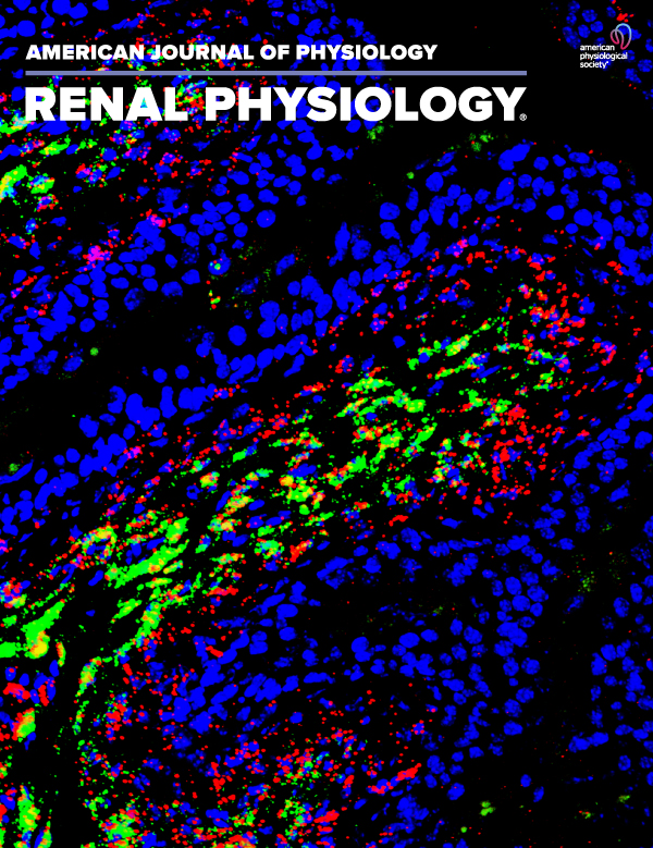 Collectrin (Tmem27) deficiency in proximal tubules causes hypertension in mice and a TMEM27 variant associates with blood pressure in males in a Latino cohort