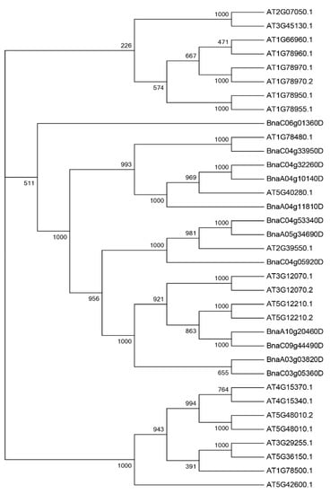 CIMB, Vol. 44, Pages 6385-6396: Genome-Wide Identification of Brassica napus PEN1-LIKE Genes and Their Expression Profiling in Insect-Susceptible and Resistant Cultivars