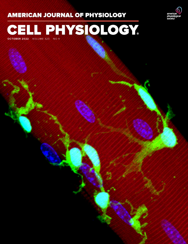 Sulforaphane attenuates cancer cell-induced atrophy of C2C12 myotubes