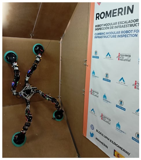 Biomimetics, Vol. 8, Pages 11: MoCLORA&mdash;An Architecture for Legged-and-Climbing Modular Bio-Inspired Robotic Organism