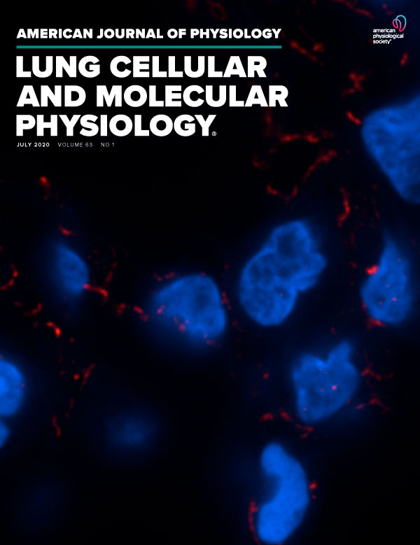 The matricellular protein CCN3 supports lung endothelial homeostasis and function