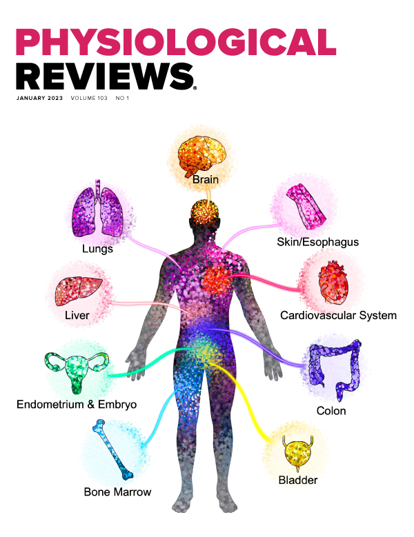 Vascular Mechanotransduction