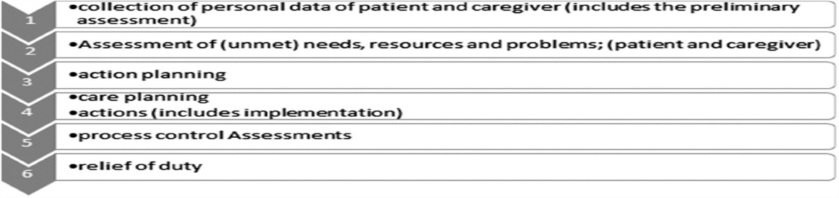 Development of a Long-Term Cross-Sectoral Case and Care Management Manual for Patients With Severe Multiple Sclerosis and Their Caregivers