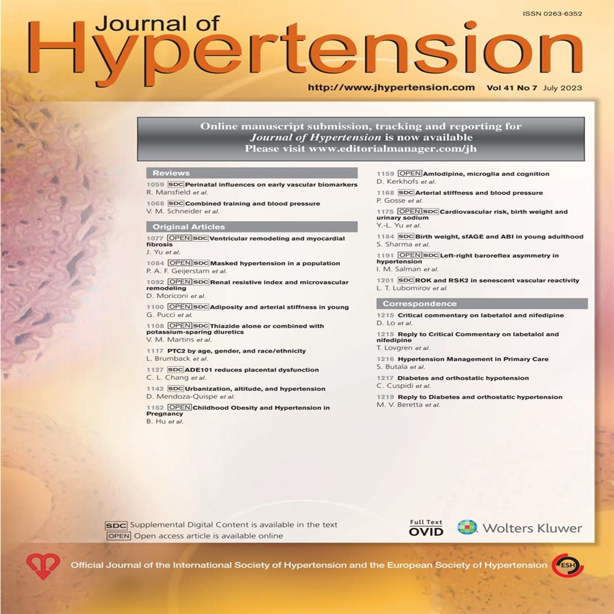 Diabetes and orthostatic hypotension: are all patients created equal?
