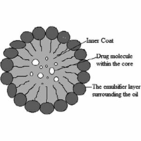 Nanoemulsions as medicinal components in insoluble medicines