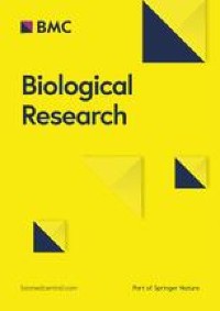 Human umbilical cord mesenchymal stem cells (hUC-MSCs) alleviate paclitaxel-induced spermatogenesis defects and maintain male fertility