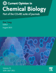 Recent advances in Zn2+ imaging: From organelles to in vivo applications