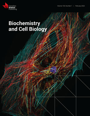 Comparative analysis of the effect of hypoxia in two different tumor cell models shows the differential involvement of PTEN control of proangiogenic pathways