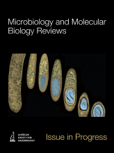 Hit ‘em Where It Hurts: Gram-Negative Bacterial Lipopolysaccharide as a Vaccine Target