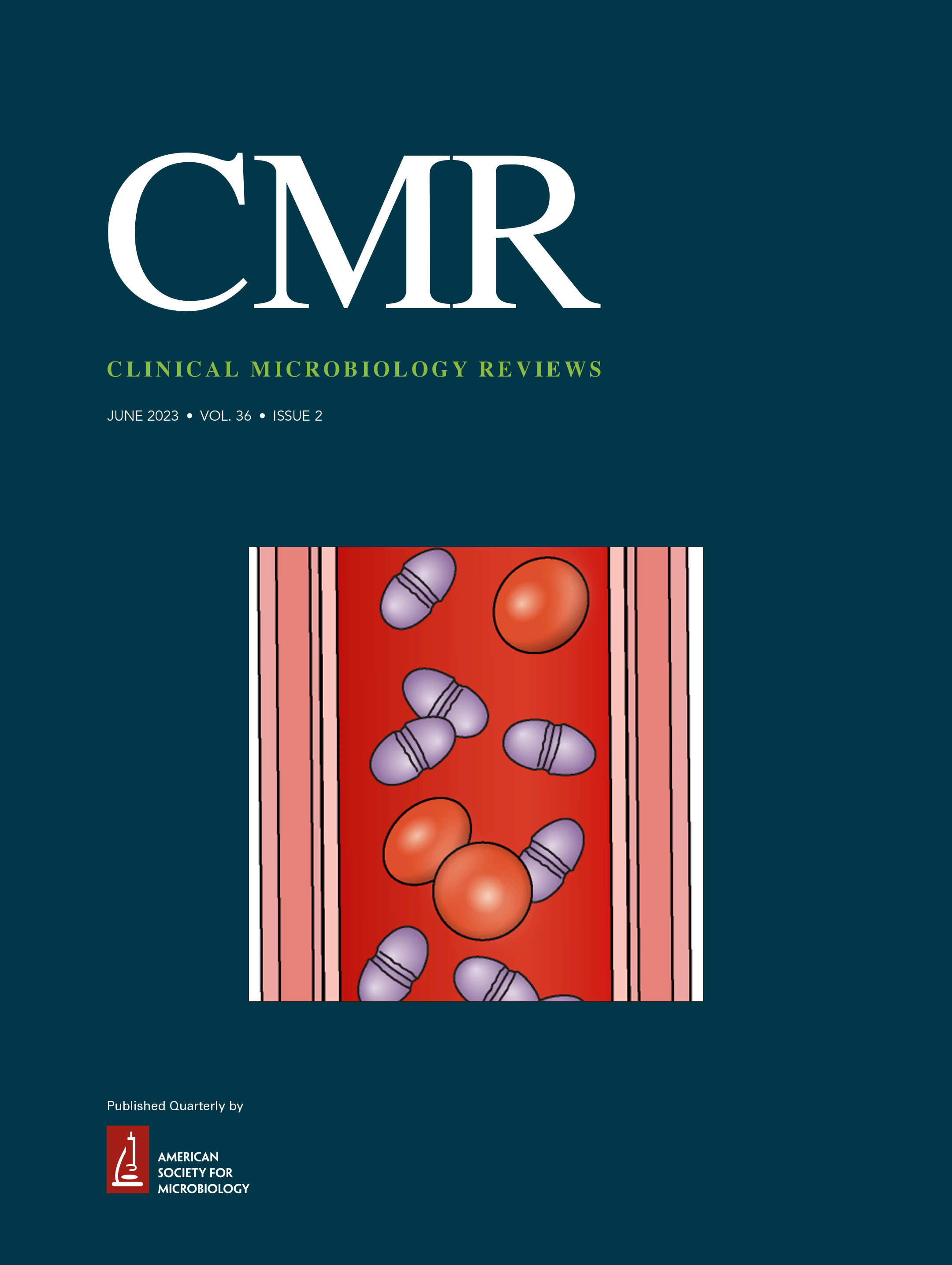 Host Immunity and Immunization Strategies for Clostridioides difficile Infection