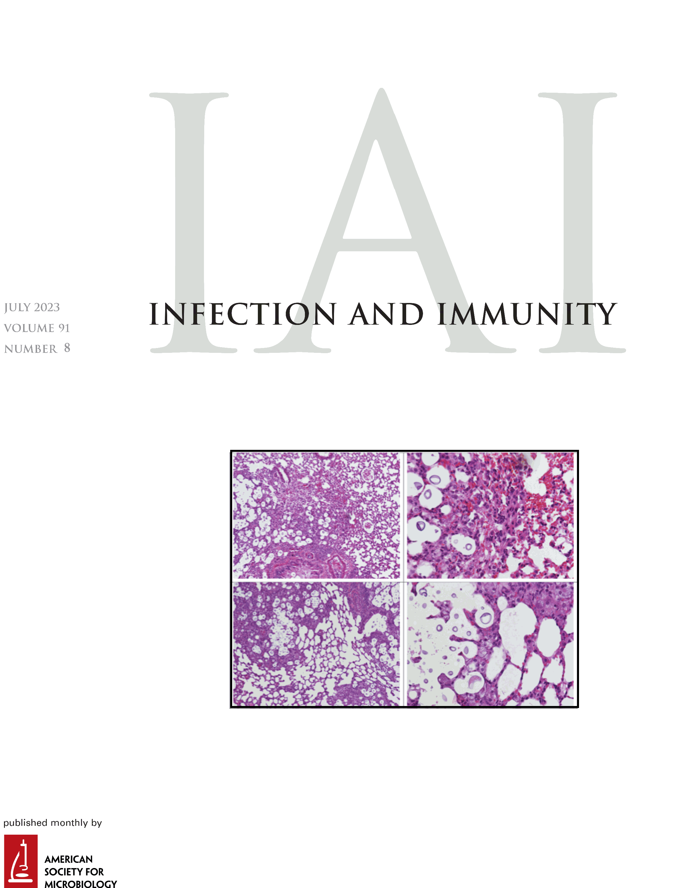 Class-Driven Synergy and Antagonism between a Pseudomonas Phage and Antibiotics