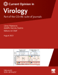 Role of the viral polymerase during adaptation of influenza A viruses to new hosts