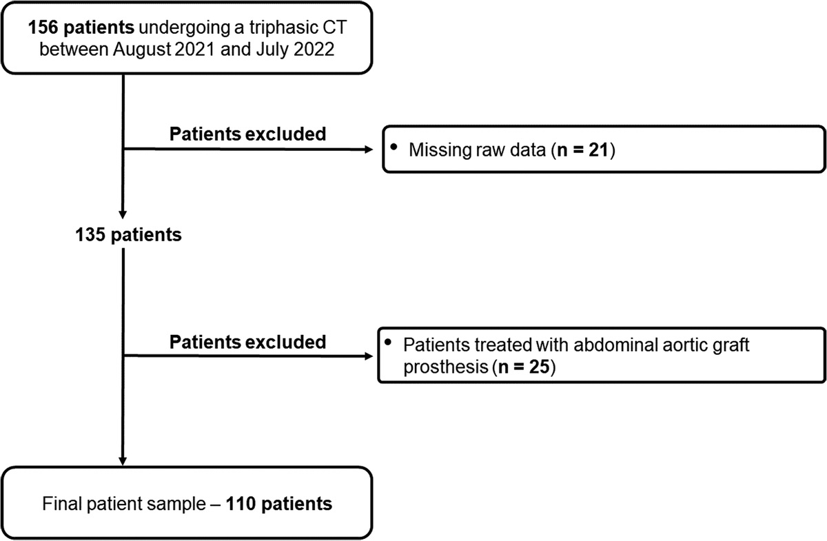 Photon-Counting Detector CT Angiography for Endoleak Detection After Endovascular Aortic Repair: Triphasic CT With True Noncontrast Versus Biphasic CT With Virtual Noniodine Imaging
