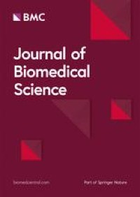 Extracellular release in the quality control of the mammalian mitochondria