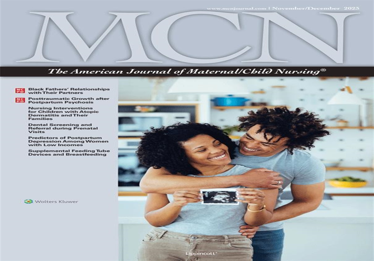 Fathers Matter: Black Fathers' Relationships with their Partners during Pregnancy and Postpartum