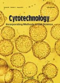 Pulsed electrical stimulation and amino acid derivatives promote collagen gene expression in human dermal fibroblasts