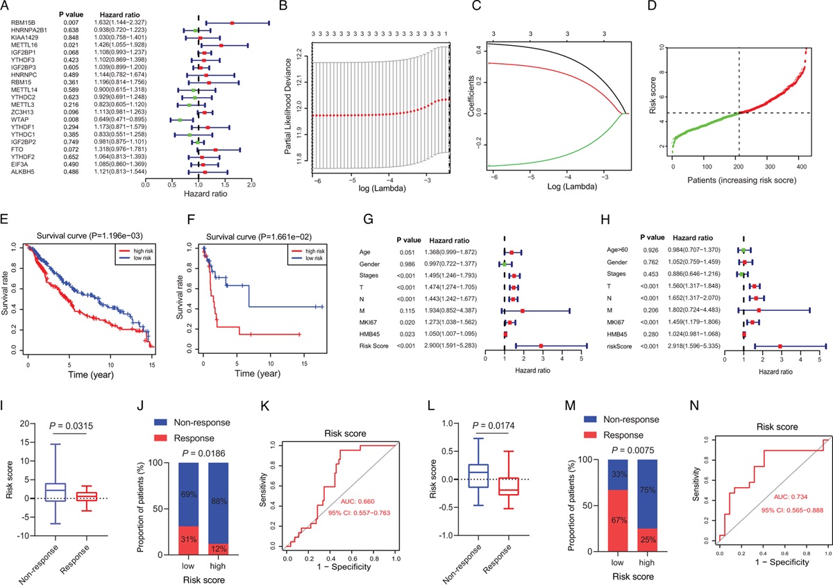Development and validation of an m6A RNA methylation regulator-based signature for the prediction of prognosis and immunotherapy in cutaneous melanoma