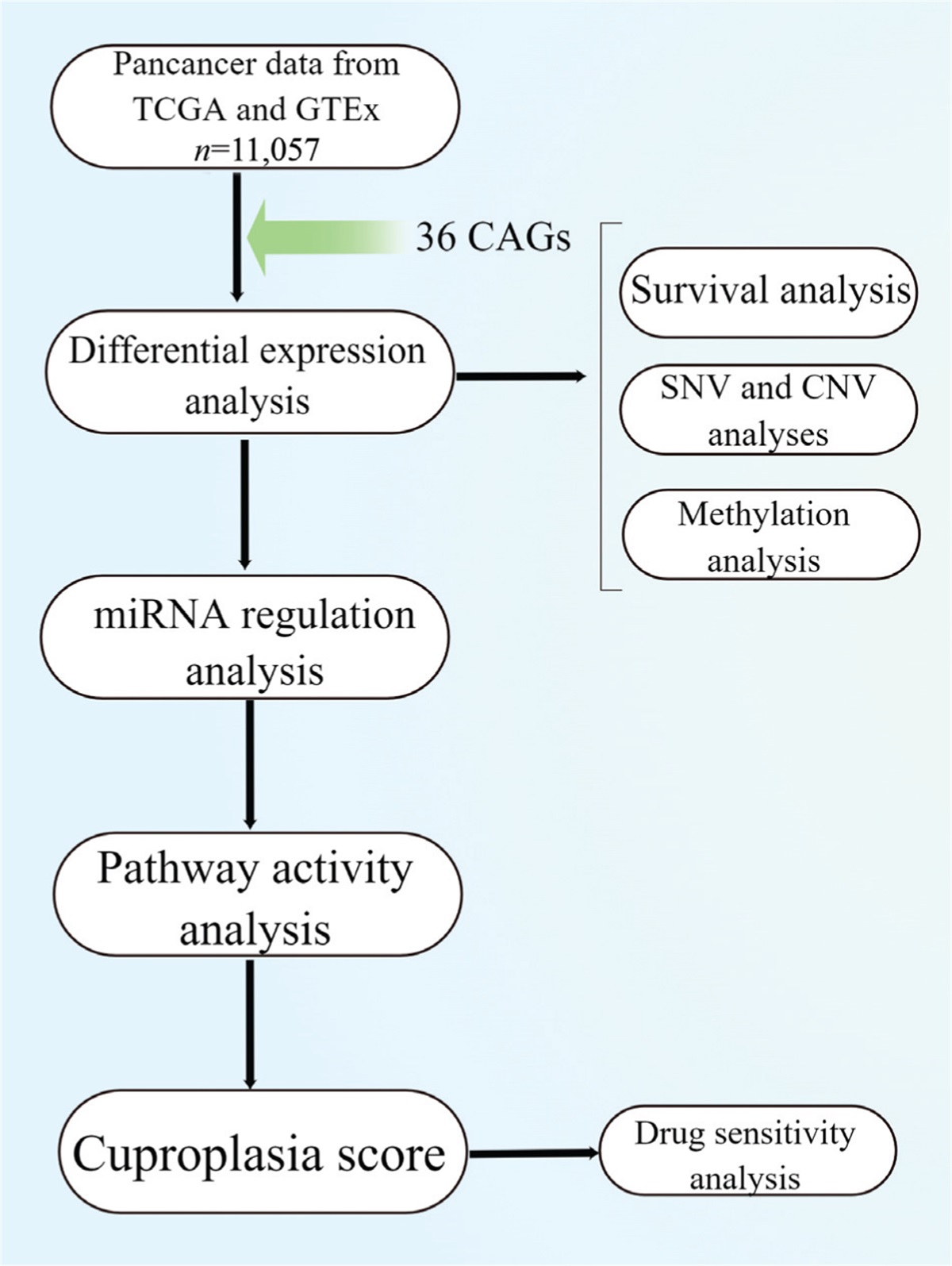 Integrative pan-cancer analysis of cuproplasia-associated genes for the genomic and clinical characterization of 33 tumors