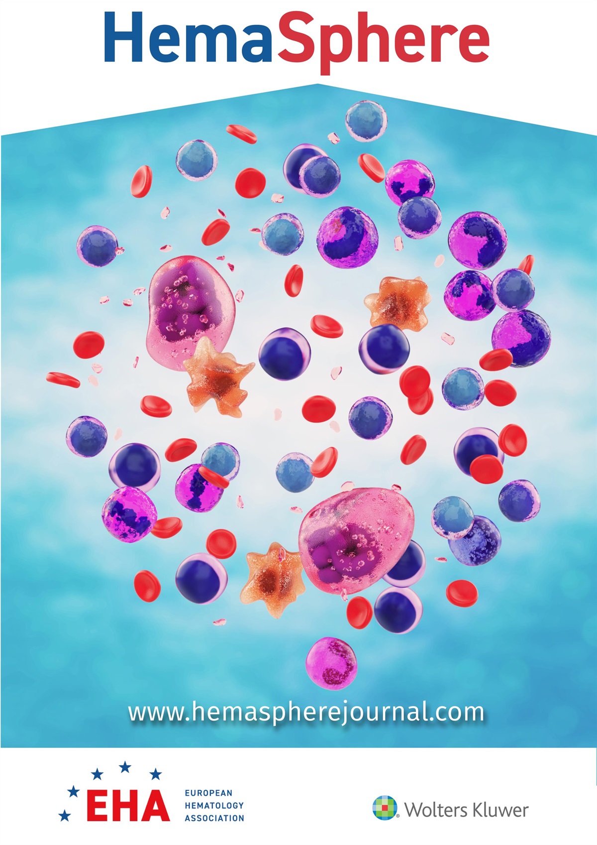 Invisible Infrastructure in Haematology: Neutrophil Reference Ranges and the Duffy-null Phenotype